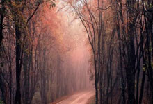 qy球友会体育:2-0!17岁天才再创纪录:勇夺阳光双冠,狂揽332万巨奖!.