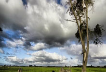 qy球友会体育:0.5倍慢镜还原!快船胜篮网5个“搞笑”瞬间,哈登一人缔造3次.