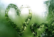 12进8前瞻:粤沪大战吸引眼球 新疆山东浙江遇挑战.