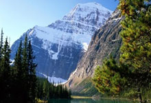 16时,韩德君发声,官宣决定,杨鸣心疼,此前因膝盖伤病退赛.