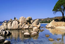 16时，韩德君发声，官宣决定，杨鸣心疼，此前因膝盖伤病退赛.